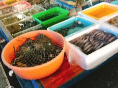 -霞涌市场海鲜摆卖区