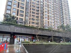 -黄浦乐烁龙鱼宝贝托育园(海潮路校区)