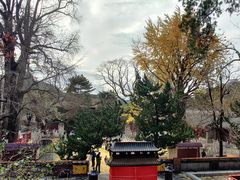 -潭柘寺景区