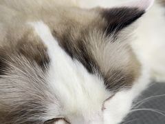 -白兔子密室(长寿路店)