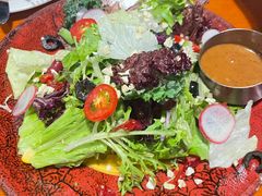 -布拉格餐厅· 中欧捷克菜(全国首店)