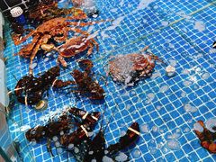 -巧克力渔家.小船海鲜胶东菜(万平口店)