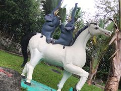 -瑞丽独树成林风景区