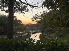 -东莞植物园