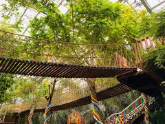 -呀路古热带植物园