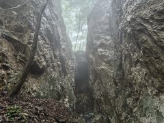 -大连天门山国家森林公园