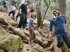 -十里琅珰