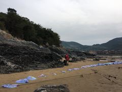 景点-小皓村