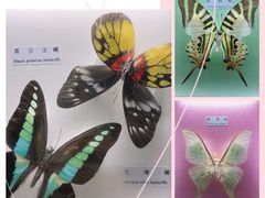 -梦幻海洋王国(吾悦广场张家港店)