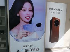 -荣耀授权专卖店(黄浦浙江中路店)