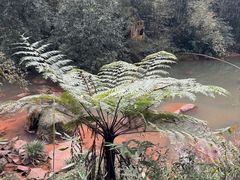 -四洞沟景区
