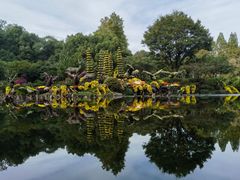 -杭州植物园