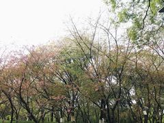 -赭山公园