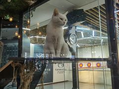 -弓舍射箭俱乐部(高新总店)