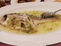 雪花菜黄鱼-宝燕壹号(徐汇店)