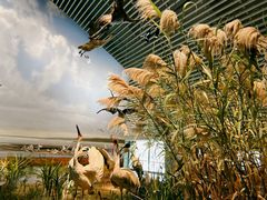 -中国湿地博物馆