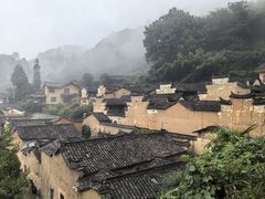 -杨家堂村