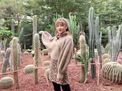 -呀路古热带植物园