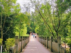 -重庆彩云湖湿地公园