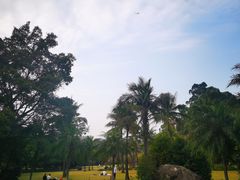 -南沙天后宫景区