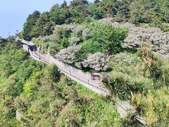 -泰山风景名胜区