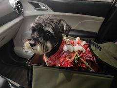 -富记鱼蛋粉(西村店)