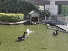 -行者书屋大堂吧 ·下午茶(南京圣和府邸酒店)