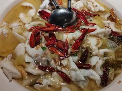 -宋小谨(惠安禹洲店)