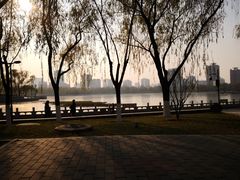 -莲花池公园