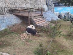 -泉州海丝野生动物世界