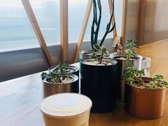 -Green Option(官舍店)