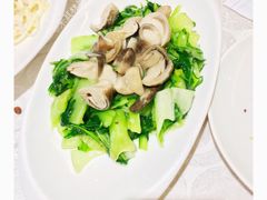 草菇盖菜-马凯餐厅(长椿街店)