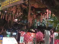 -正佳雨林生态植物园