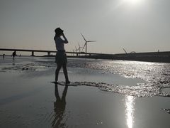 -南汇新城海滩