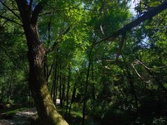 -玉渡山自然风景区