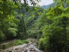 -西岭雪山大飞水景区