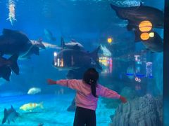 -烟台海昌鲸鲨海洋公园