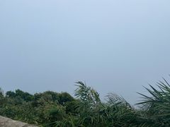 -海南铜鼓岭景区