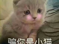 -面包与我Bread Or Me(长城汇店)