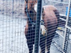 马厩-黄海国家森林公园