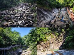 -广州白江湖森林公园