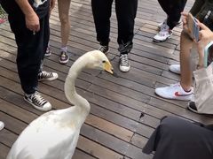 -艾溪湖湿地公园