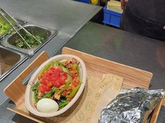 -油梨树AVOCADO TREE(顺义新国展店)