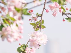 -莫愁湖公园