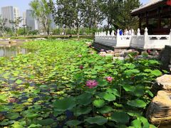 -西海子公园