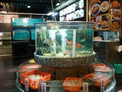 水产区-顺悦酒家(嘉信城市广场店)