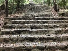 -灵谷景区