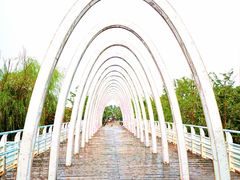 -大兴滨河森林公园