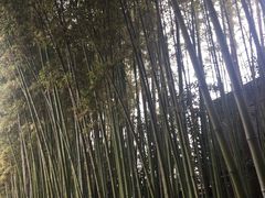 -上海市龙华烈士陵园