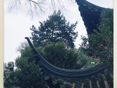 -新发展亚太JW万豪酒店·福苑咖啡厅
